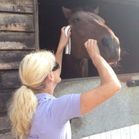 Photizo Vetcare – Healing Light Therapy for Pets